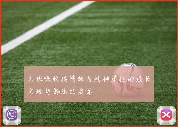 文班吸收我情绪与精神属性的成长之路与佛法的启示