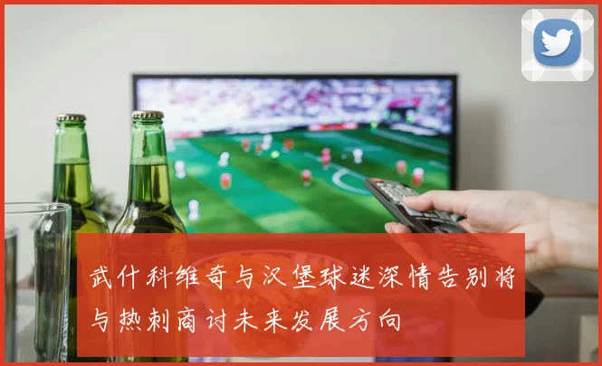 武什科维奇与汉堡球迷深情告别将与热刺商讨未来发展方向